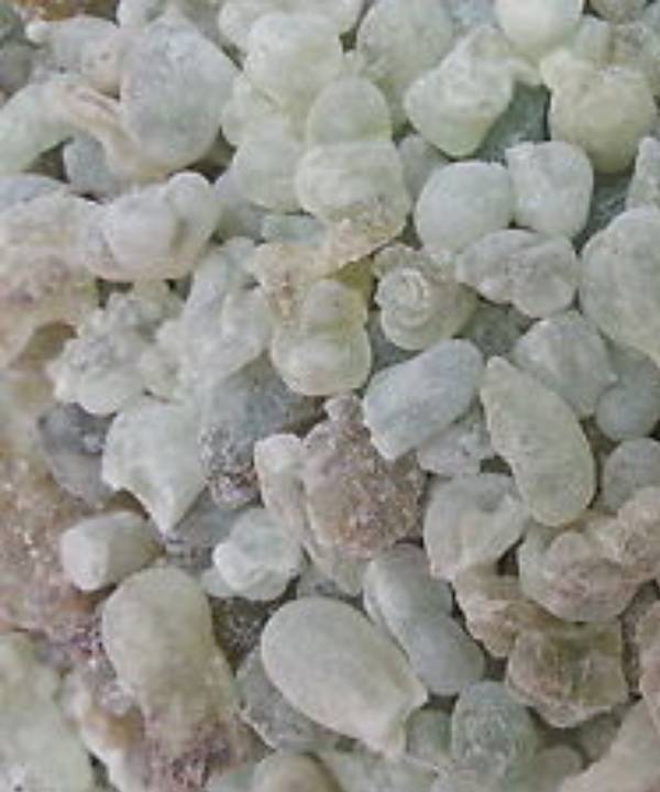 Frankincense Salalah Oman|Frankincense Salalah Oman