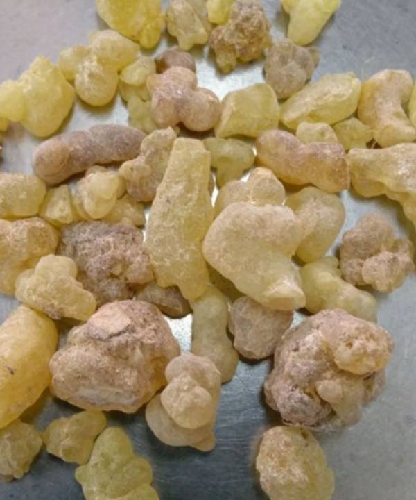 Frankincense Somalia (Edible)|Frankincense Somalia (Edible)