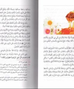 |Medicine Of The Prophet- Tibb An-Nabawi :Arabic|